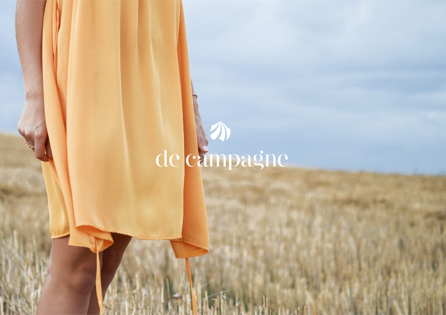 de campagne  s brand guideline