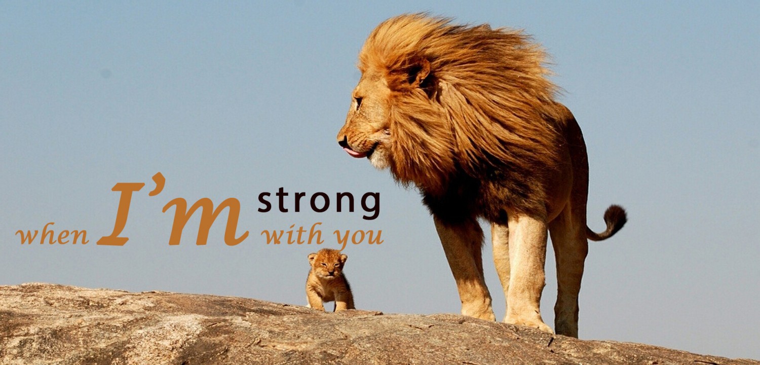 lion