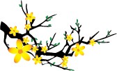 BTVN ILLUSTRATOR B2