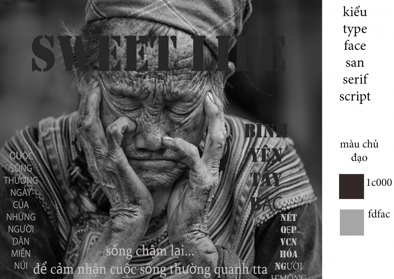 xin lỗi vì nộp muộn