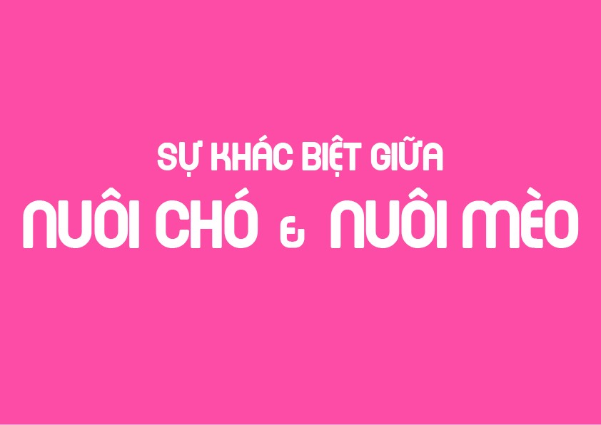 bài cuối kì