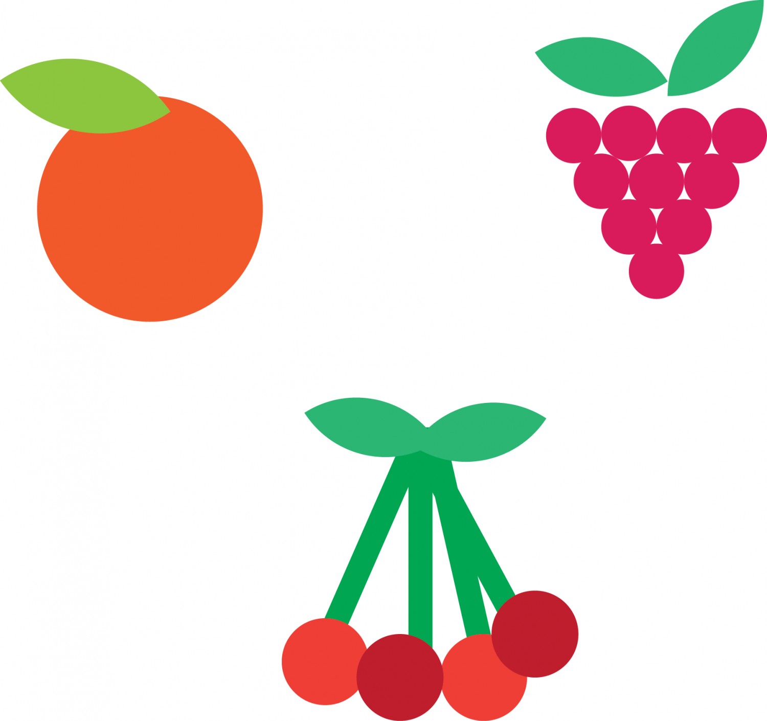 Fruit