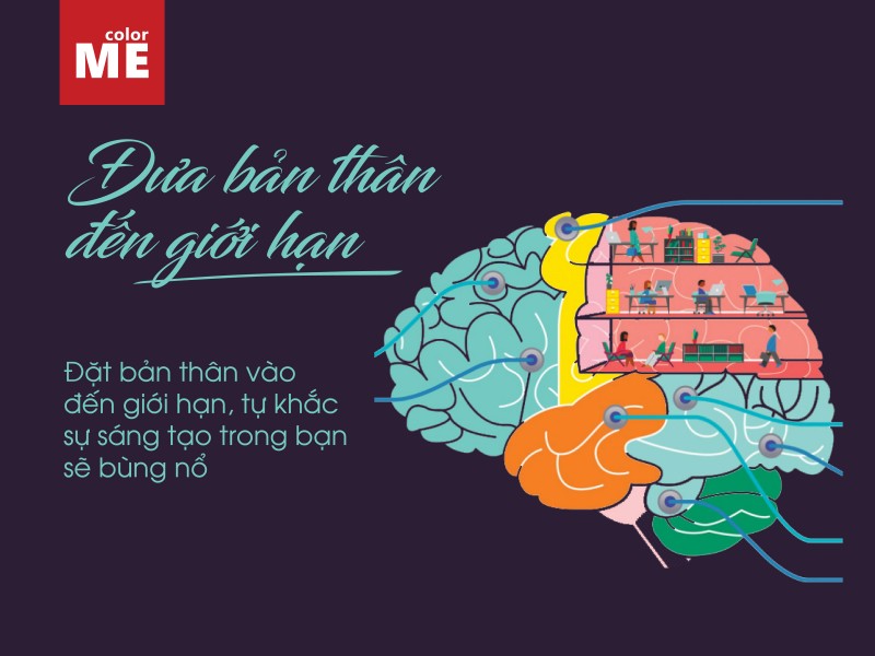 Làm thế nào để kết hợp tư duy khoa học và tư duy nghệ thuật trong thiết kế