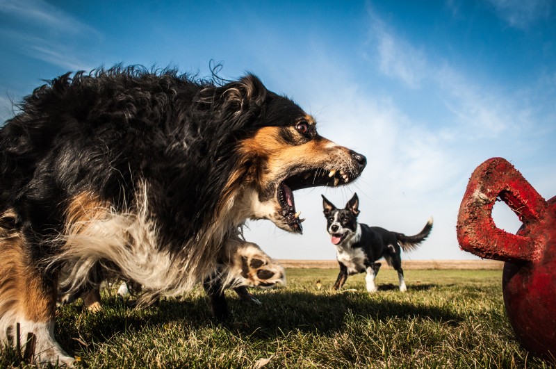 Forced perspective in Photography