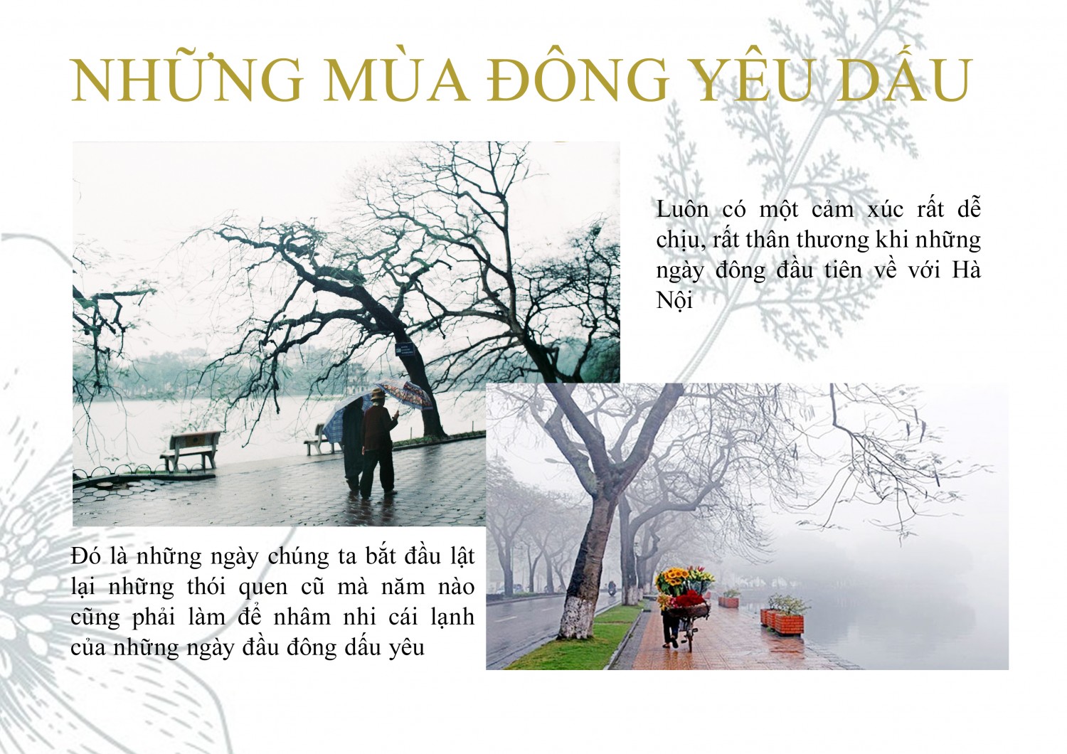BTVN buổi 4