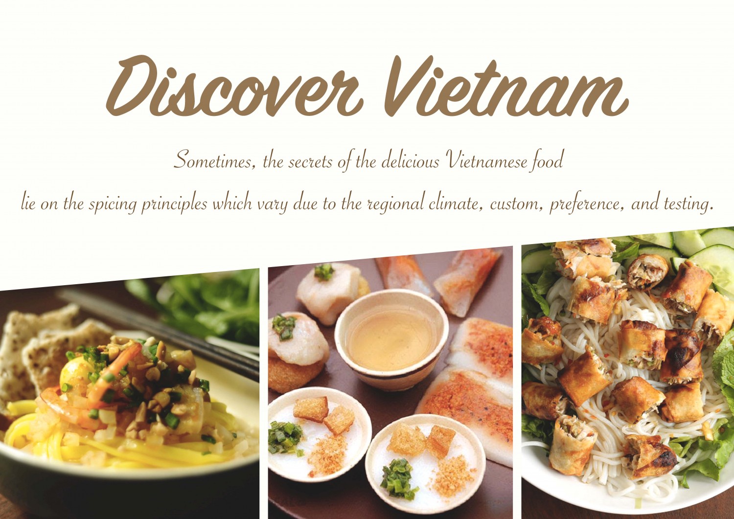 Vietnamese food Layout