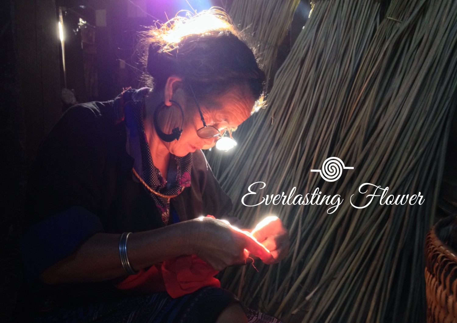 Everlasting Flower