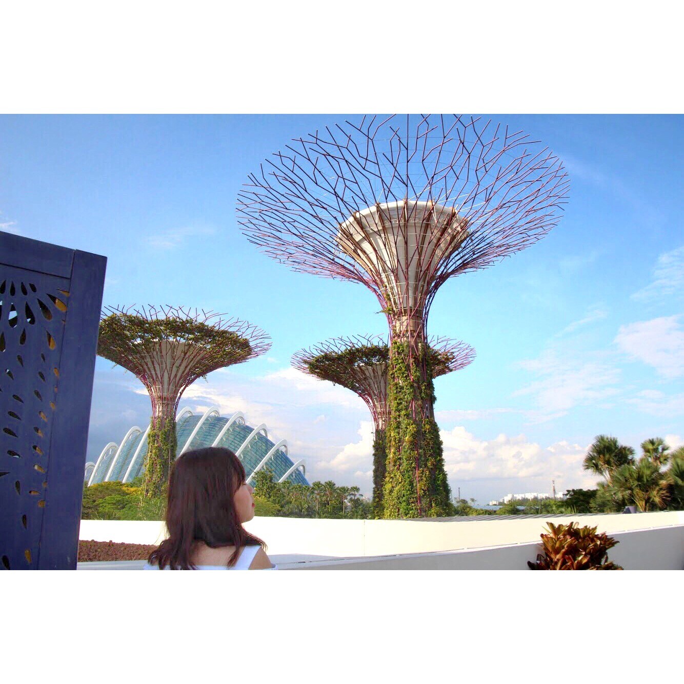Gardens by the bay