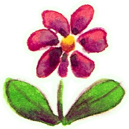 BTVN BUỔI 1