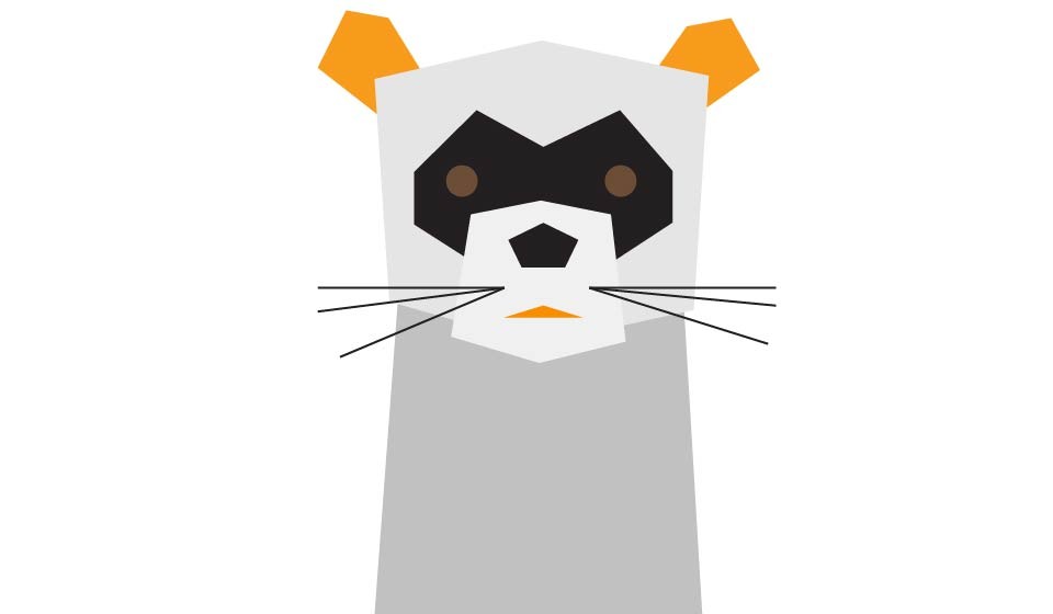 Ferret