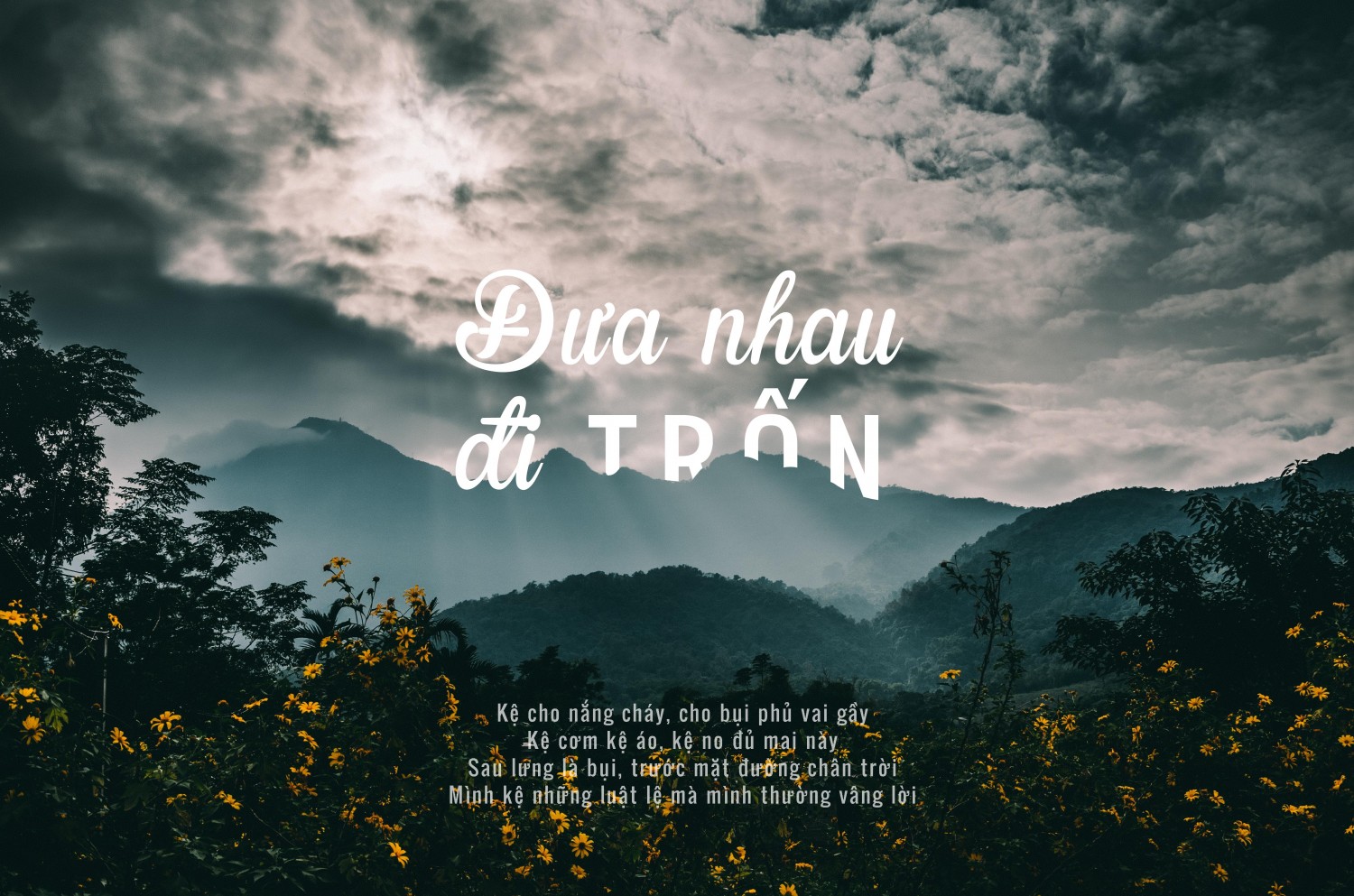 Hoàng Ngân_BTVN_Ai32.12