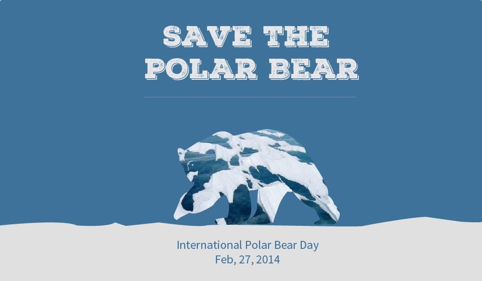 Poster Save polar bear