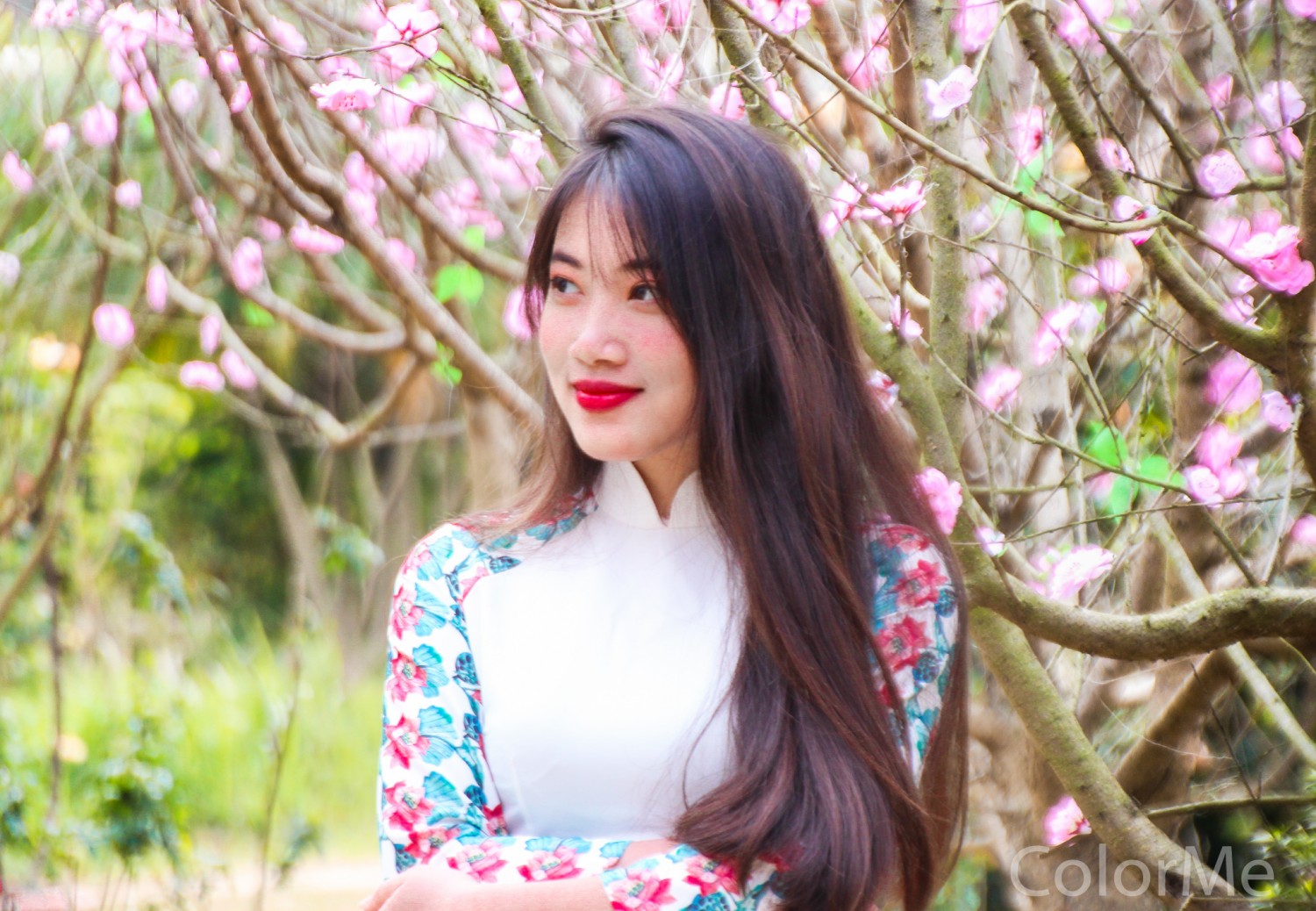 Bai cuoi ky 