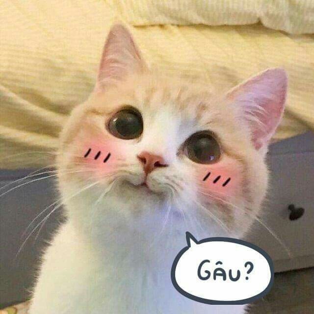 Bài tập giữa kì 