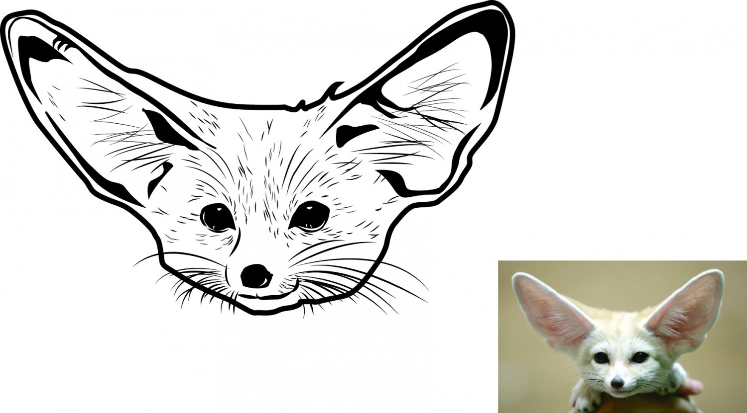 BTVN Buoi 2 - Pen Tool