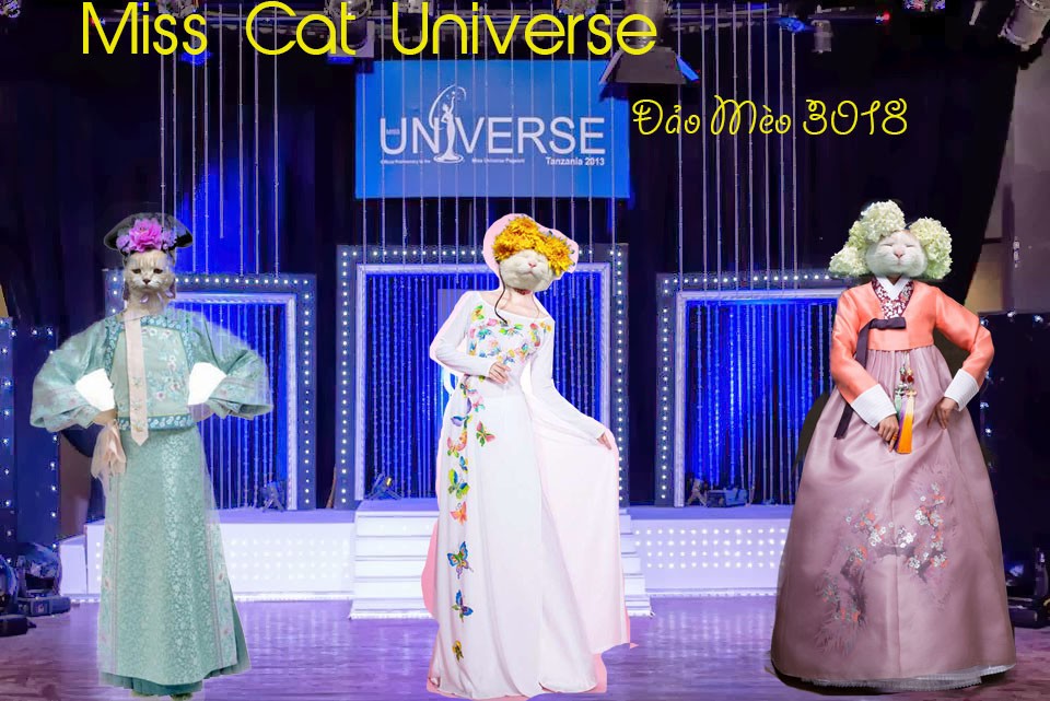 Miss cat universe- Đảo Mèo 3028
