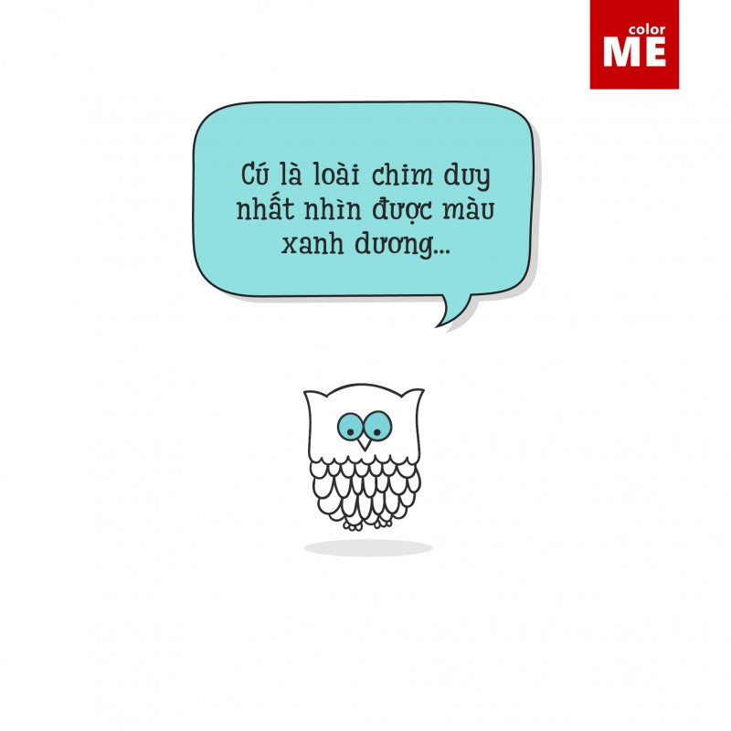 Funs fact về màu xanh dương