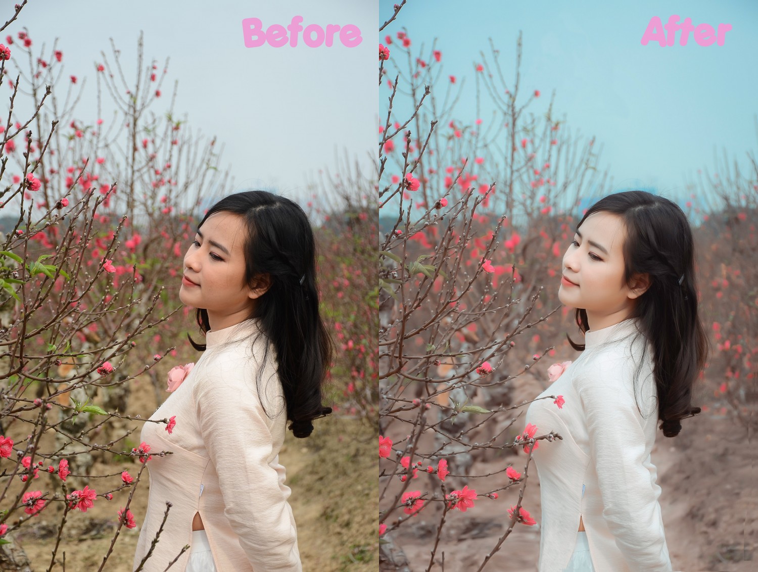 BTCN buổi 5