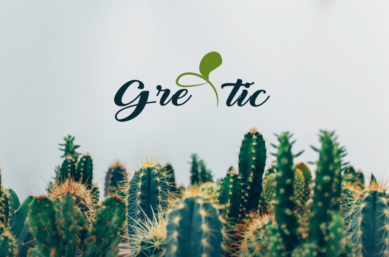 BTCK - Brand guideline -  Dương Ánh 