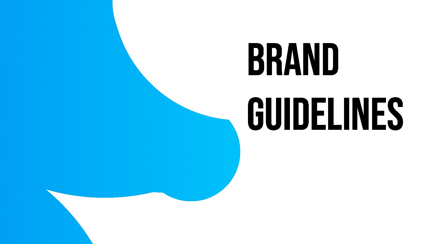 Brand guideline