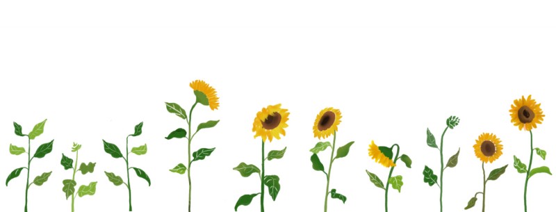 Chia sẻ bộ hình sunflower