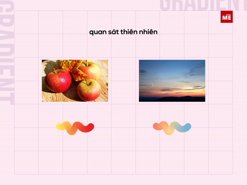 Gradient kì 2 · bí mật của một dải gradient xinh xắn