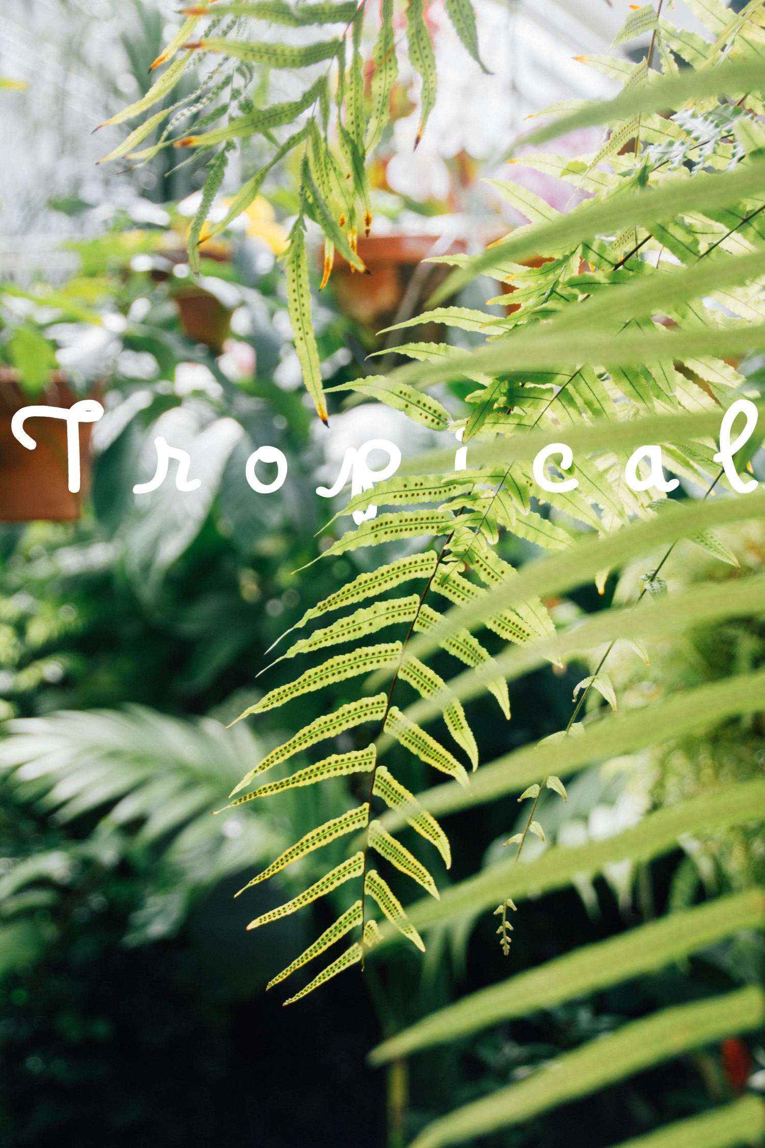 NATURE