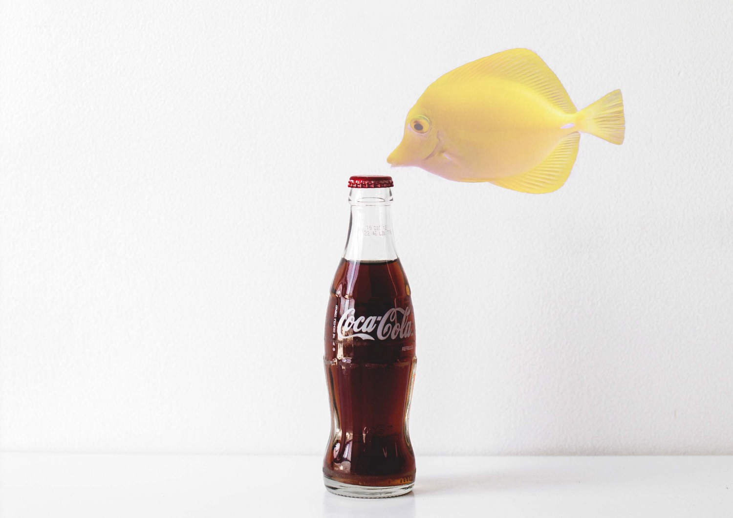 anyone can fall in love with coke,