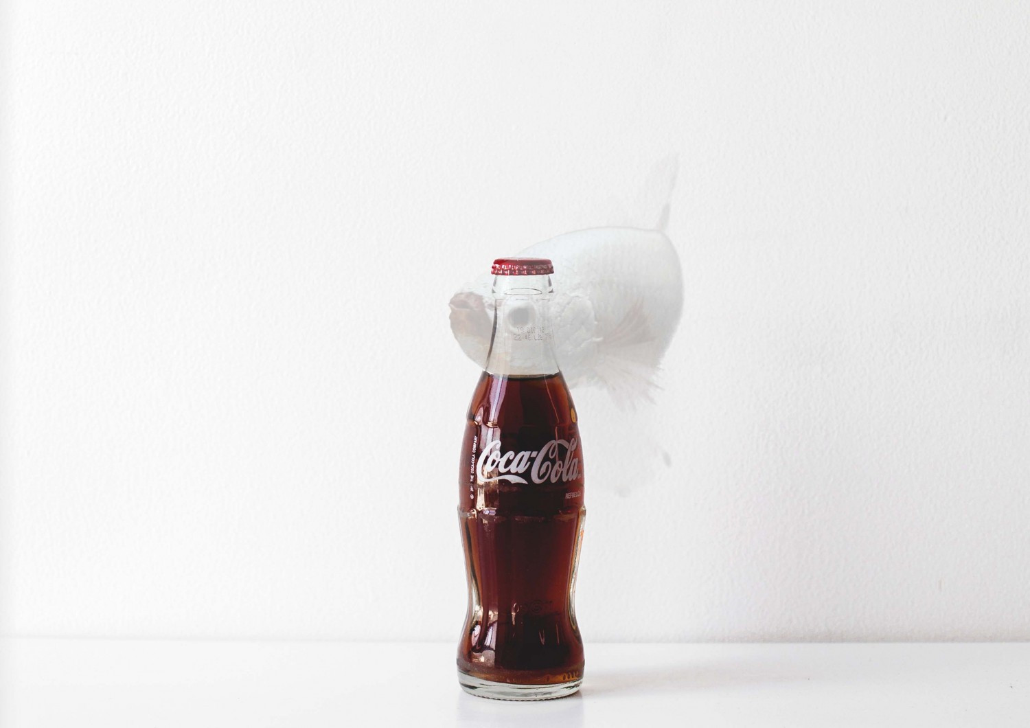 anyone can fall in love with coke,