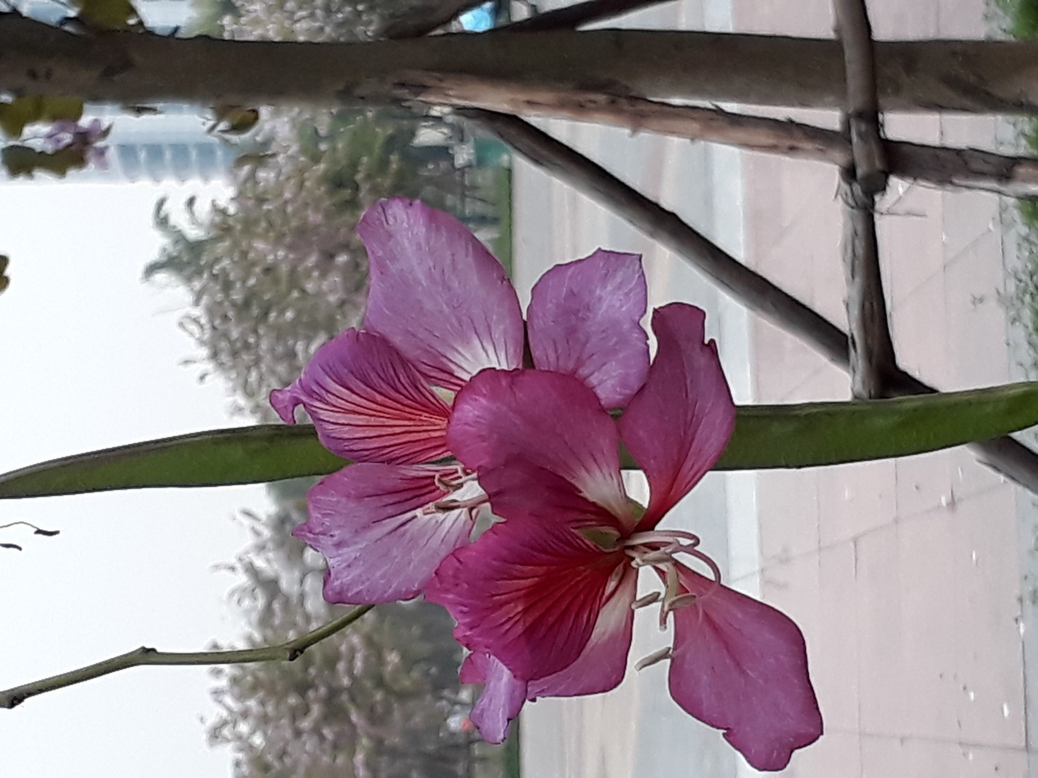  BTVN Buổi 1