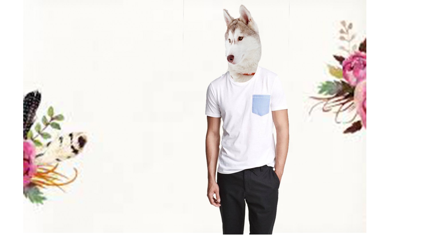trần đình hà nhóm tối 7 , cn