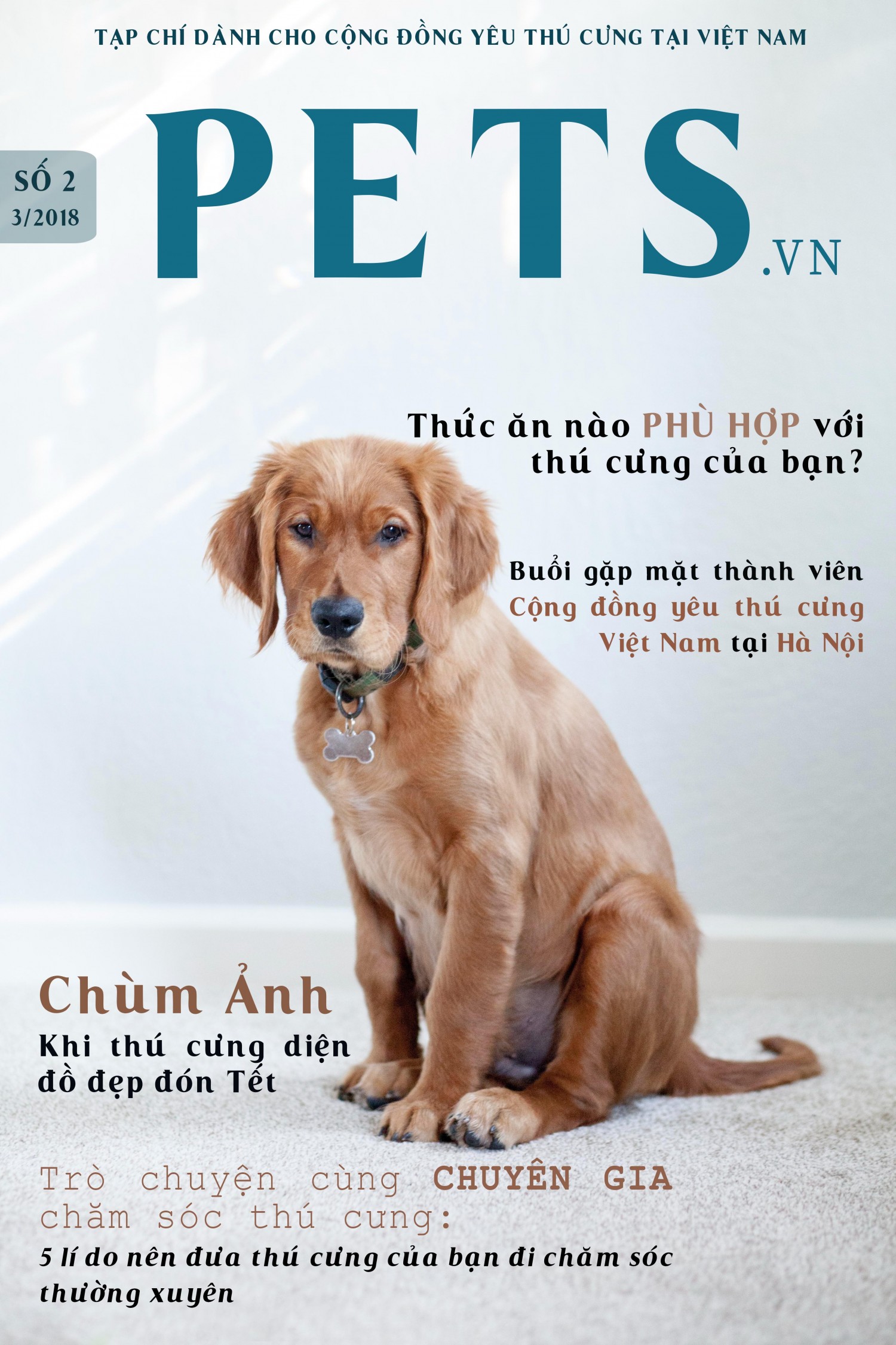 BTVN 2 - Bìa Tạp chí