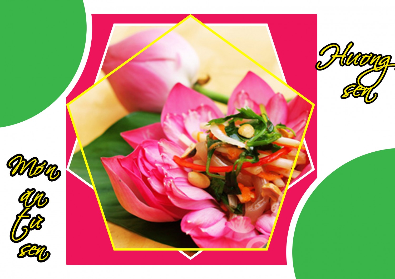Layout bố cục