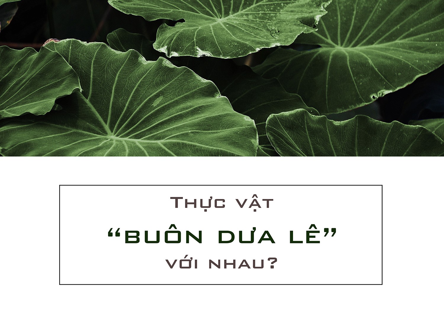BTVN2 - LAYOUT