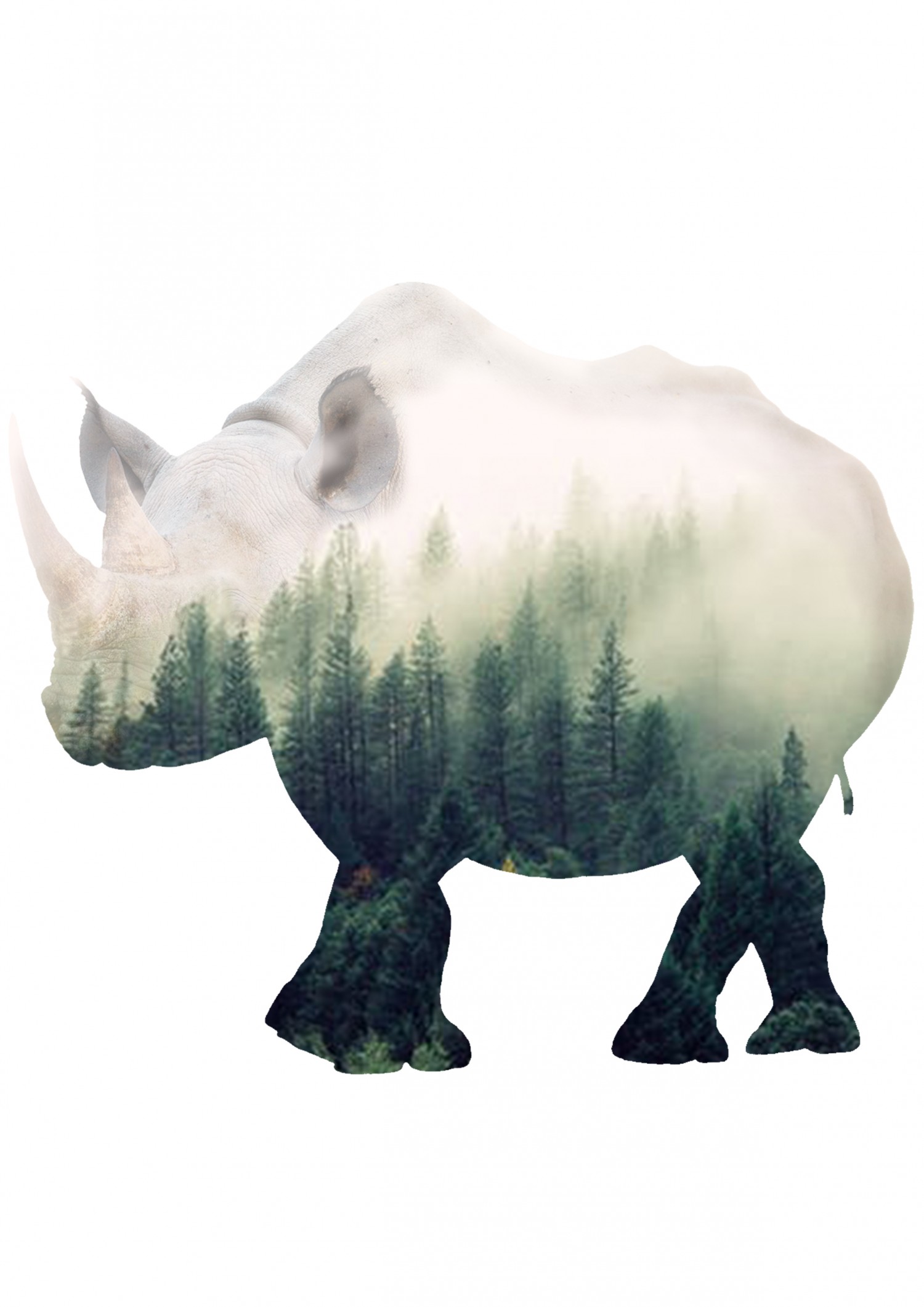 Double Exposure - Hong Anh
