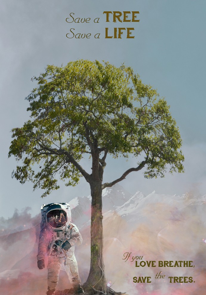 Poster cuối kỳ
