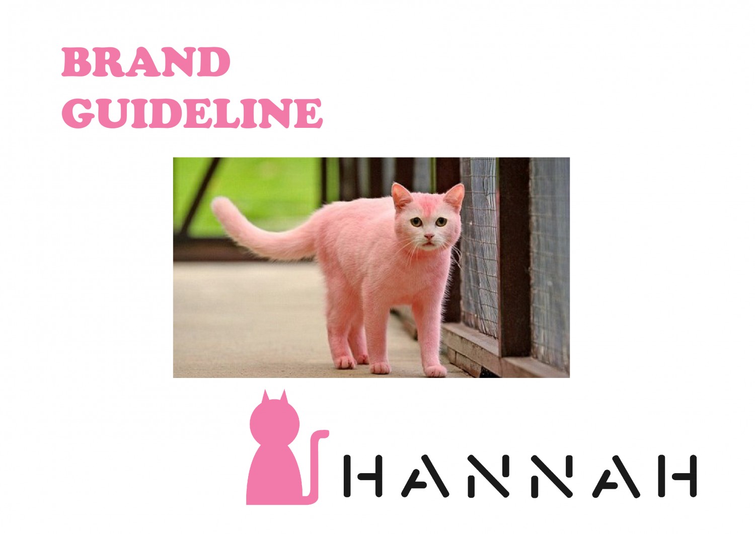 HANNAH PET SHOP