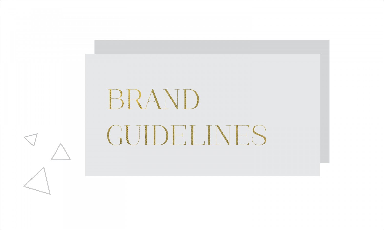 HOMIOR BRAND GUIDELINES 