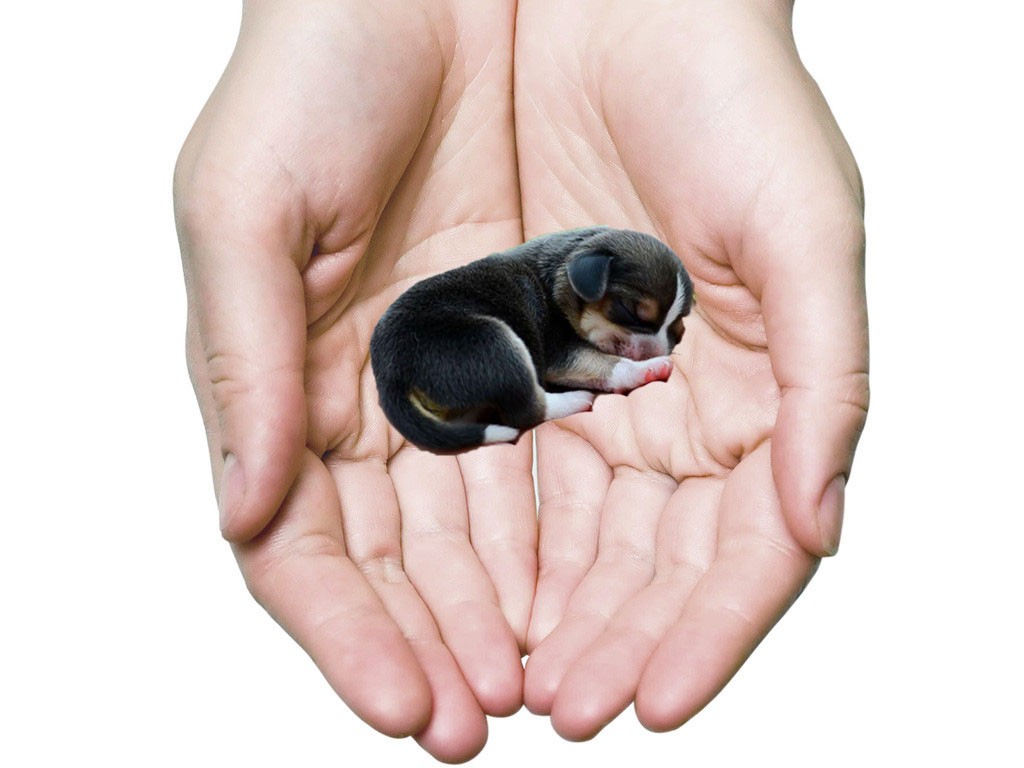 BTVN BUOI 1