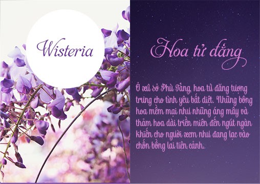 BTVN - Lê Thu Hiếu