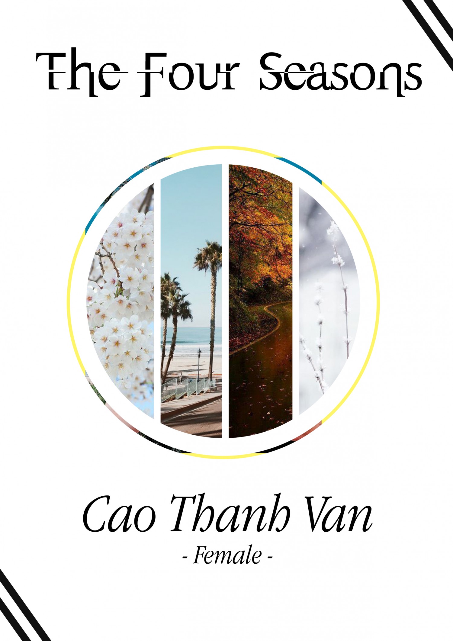 BTVN BUỔI 2