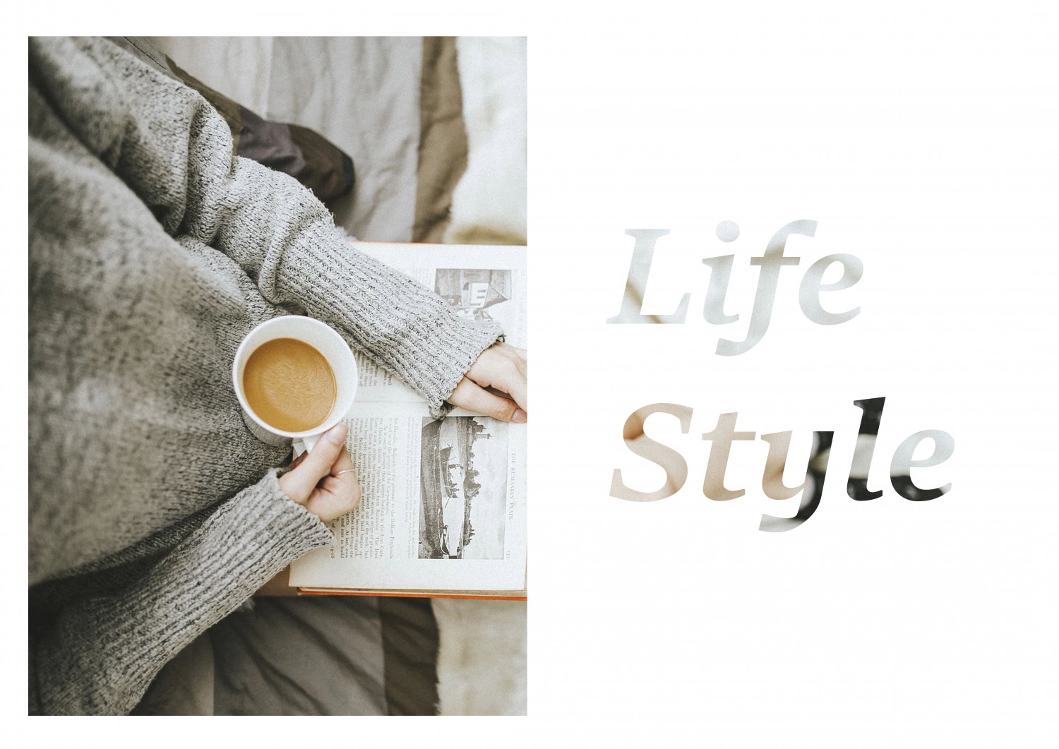 Thiết kế bìa bộ Layout