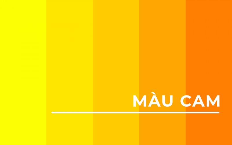 Ý nghĩa màu sắc <Phần1>