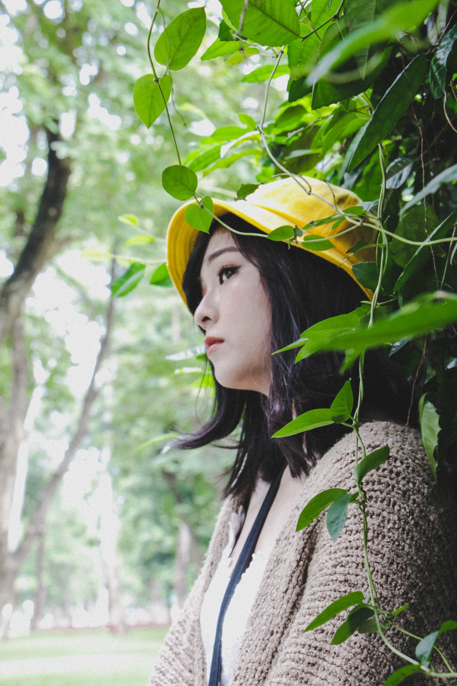 btck_01_hoadang