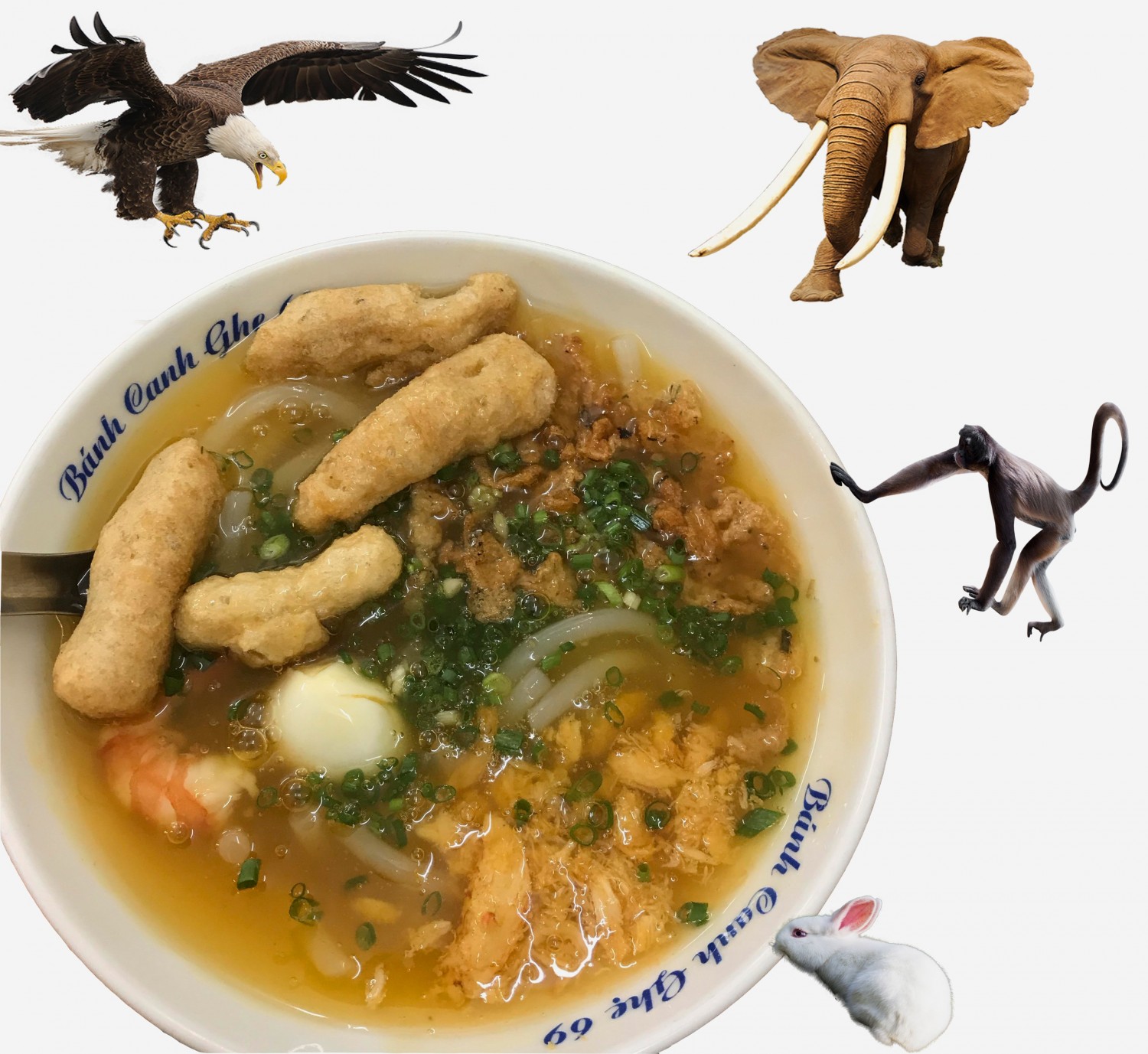BTVN buổi 3