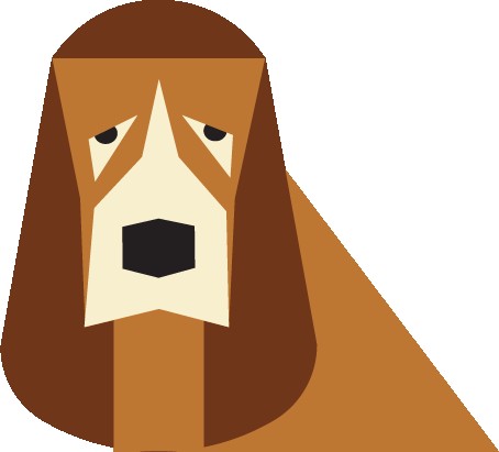 Basset Hound