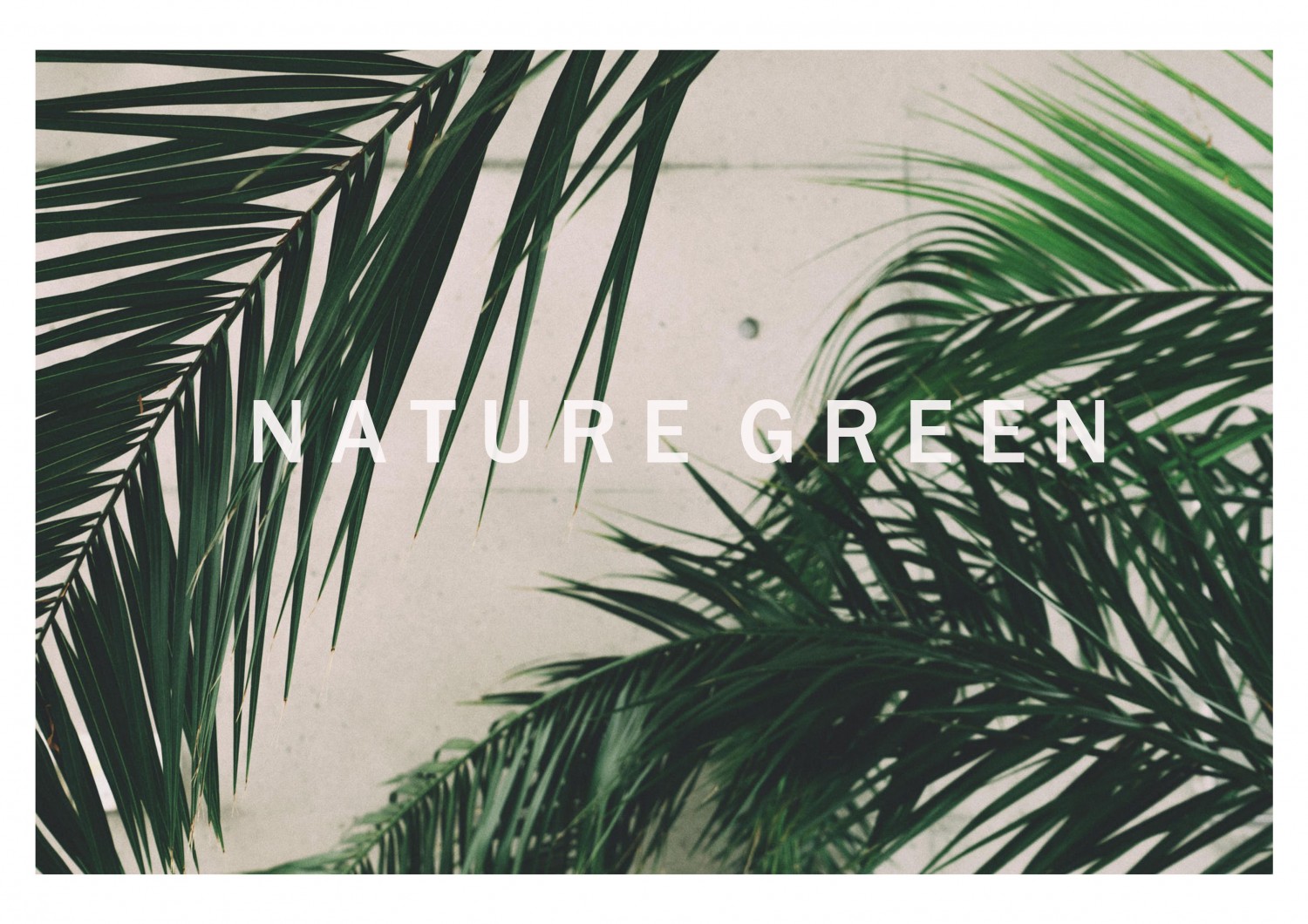 SHAPE OF GREEN
