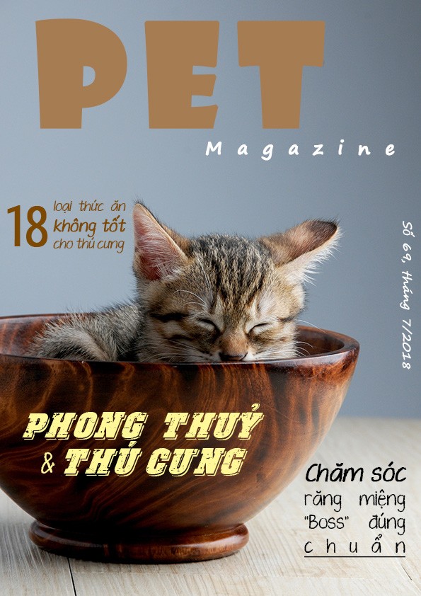 HW - Buổi 2
