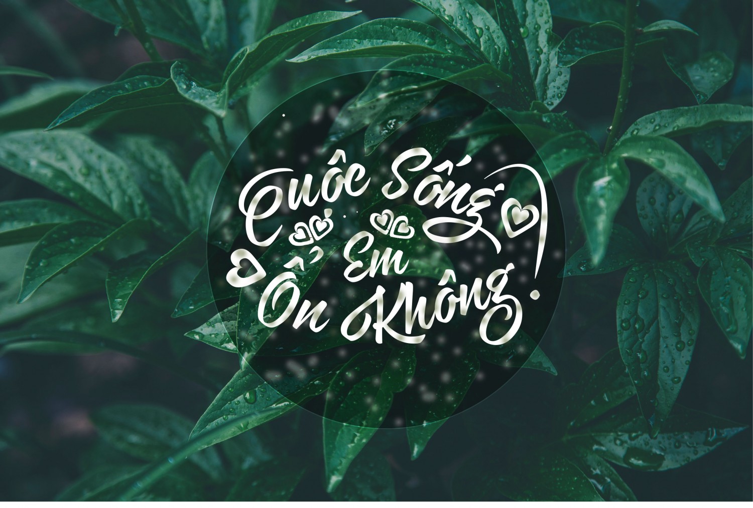 BTVN buổi 3