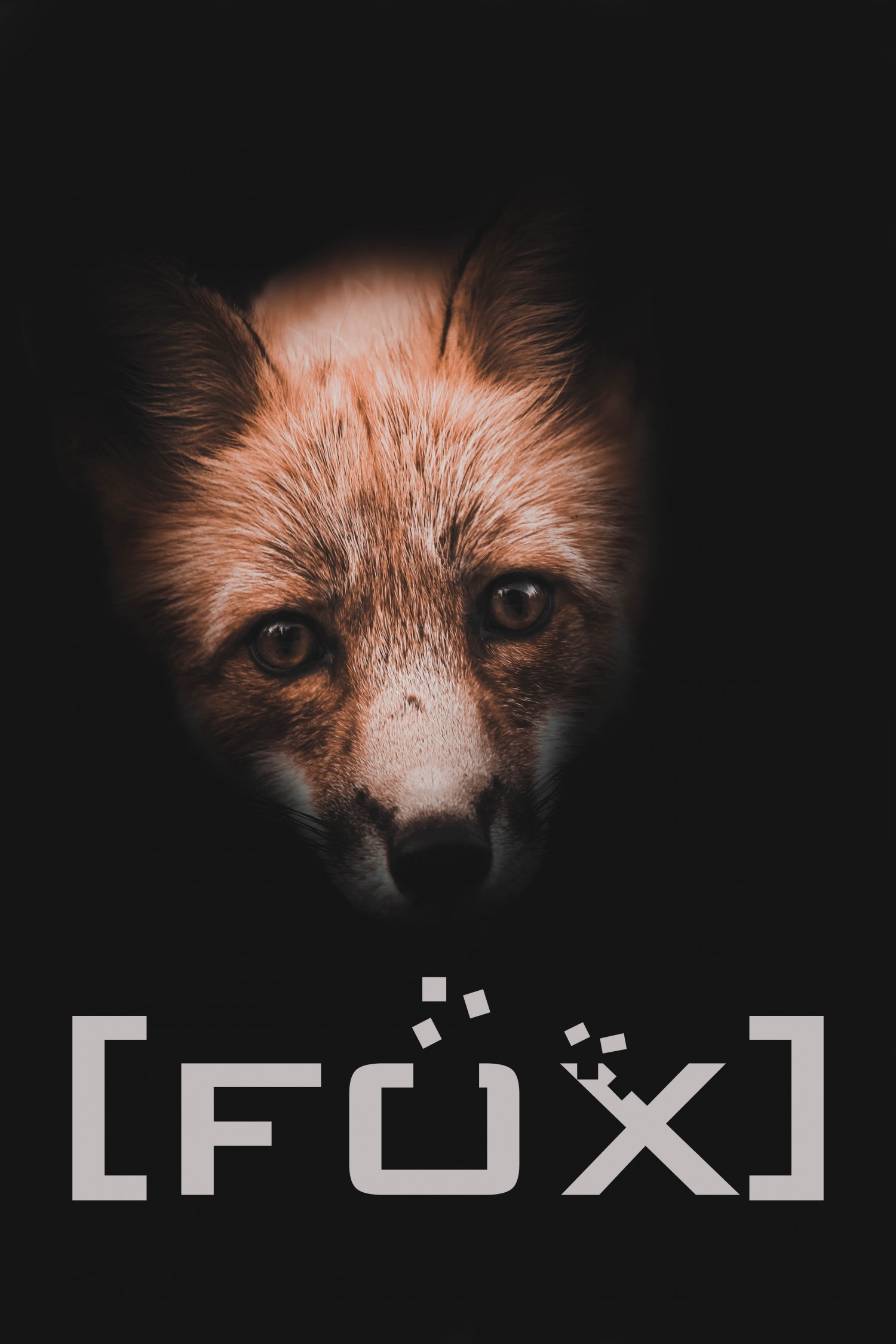BTVN3